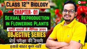Mastering Sexual Reproduction in Flowering Plants: Essential Concepts & PYQs for Class 12